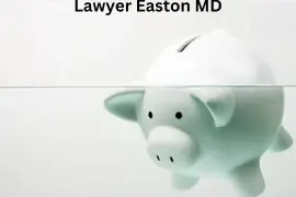 Chapter 11 Bankruptcy Lawyer Easton MD