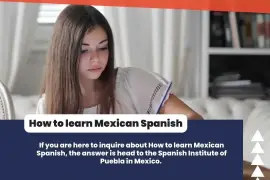 How to learn Mexican Spanish