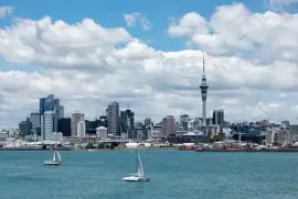 Sydney to Auckland – Moving Home
