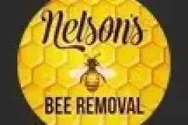 Nelson's Bee Removal