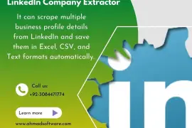 LinkedIn Company Extractor