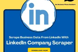 LinkedIn Company Extractor