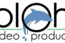 Dolphin Video Productions