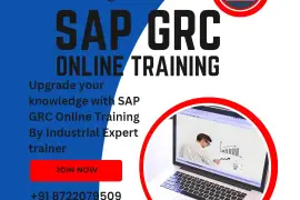 SAP GRC Training by Professional Trainer