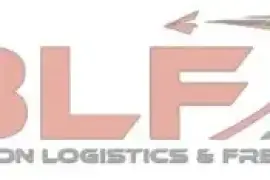 Brinson Logistics and Freight LLC