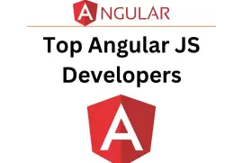 Top Angular JS Developers for Hire
