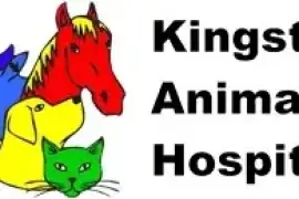 Kingston Animal Hospital