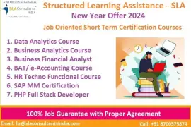 Advanced Data Analyst Course in Delhi, with Free 