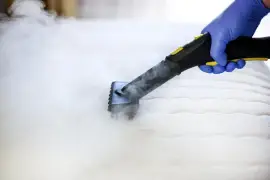 Get affordable vapor cleaning services