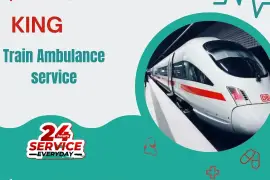 Choose King Train Ambulance Services in Mumbai wit