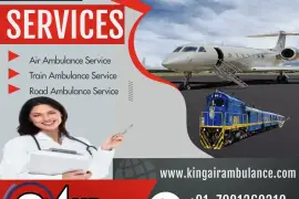 Gain Advanced Patient Transport by King Train Ambu