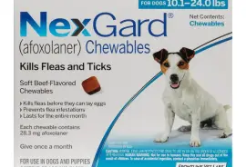 Nexgard for Medium Dogs at UPTO 30% OFF