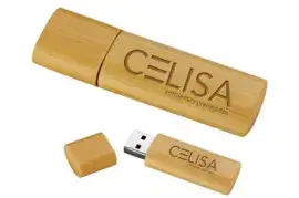 Get Custom USB Flash Drives at Wholesale Prices