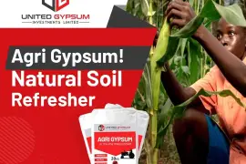 What No One Tells You About Agribusiness Gypsum