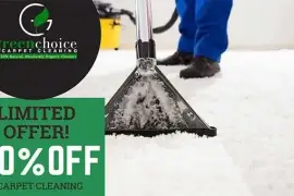 GreenChoice Queens Carpet Cleaning TM