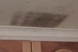 Mould Removal New Castle
