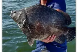 Louisiana Fishing Guides