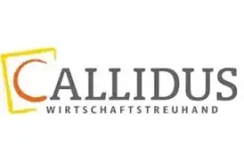 CALLIDUS Wirtschaftstreuhand GmbH & Co KG