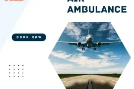 Book Vedanta Air Ambulance in Delhi with Apt Medic