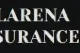 Steven J. Larena Public Insurance Adjuster