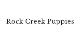 Rock Creek Puppies