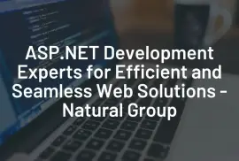 ASP.NET Development Experts for Efficient Solution