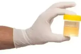 Certified DOT Drug Test