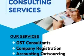 income tax filing consultants