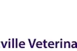 Morphettville Veterinary Clinic