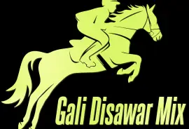 Gali Disawar Mix Satta Result Record of April 2024