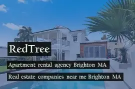 Connect with apartment rental agency Brighton MA