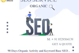 SEO Expertise in Bangalore: Your Path to Growth