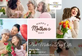 Mothers day flowers adelaide | Westside Flowers