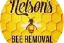 Nelson's Bee Removal