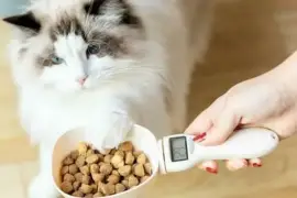Food Measuring Spoon With LCD Display For Pets