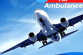 Hire Vedanta Air Ambulance in Chennai with Support