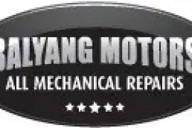 Balyang Motors