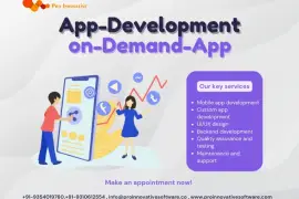 Application Development, On Demand App
