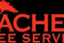 Aachen Tree Services 