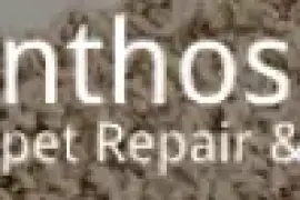 Anthos Carpet Repair & Installation
