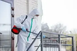 Best Fumigation Treatment Company in Melbourne