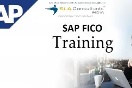 SAP FICO Institute in Laxmi Nagar, Delhi, SLA
