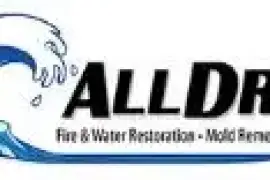 All Dry Water Damage Experts, Inc.