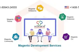 Professional Magento Development Services with Us 