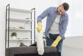 Professional Furniture Cleaning Services