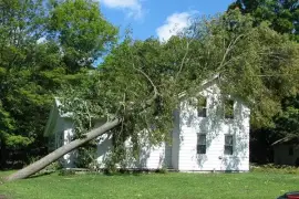 Swift Emergency Tree Removal Jacksonville
