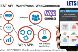 WooCommerce B2C | Business To Customer REST API Ad