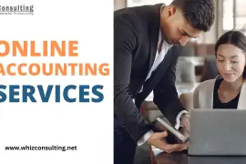 Find affordable and Online Accounting Service Comp