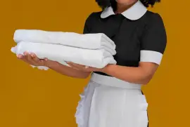 Looking for Professional & Affordable MaidServ