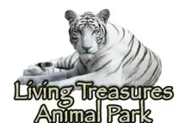 Living Treasures Animal Park